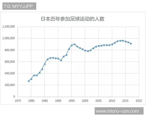 2010年韩国足球明星的辉煌成就与影响力分析