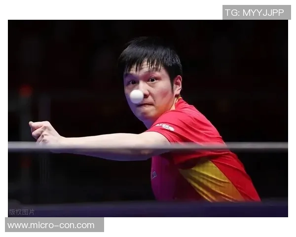 上海乒乓球队反击之路：挑战与机遇并存的精彩赛季分析