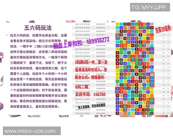 广州羽毛球队防守策略深度解析与实战技巧分享