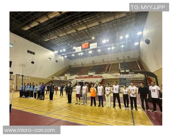 排球盛宴：深入了解西安排球队的团队配合与默契之道