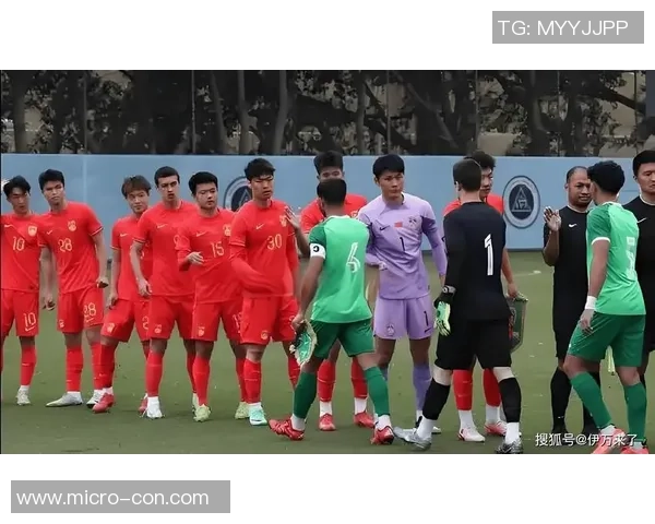 武汉足球队团队协作能力大幅提升荣登全国足球团队协作排名新高