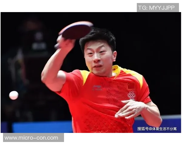 武汉羽毛球队战术分析与表现评估大满贯赛季回顾