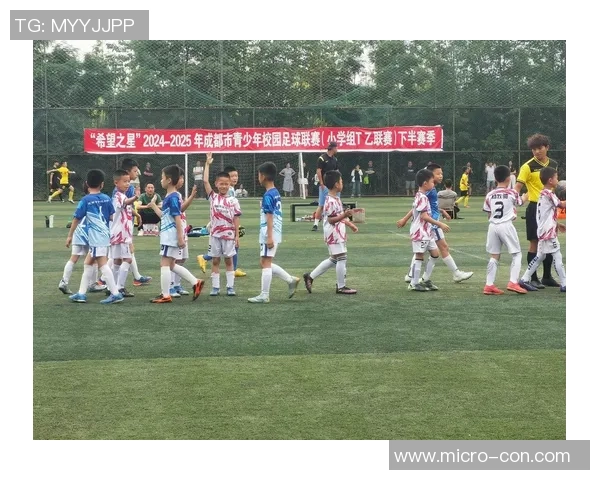 河南校园足球明星的崛起与发展探索及其对青少年足球的影响