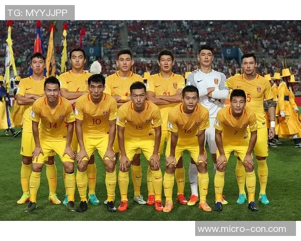 重庆排球队在世界杯预选赛中的团队协作表现分析与点评