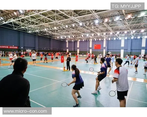热议羽毛球:北京羽毛球队的实力变革