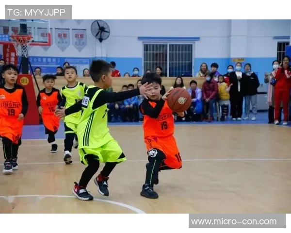 刘敏独家:分享篮球心得